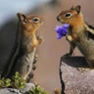 Meet your Posher, Billi jo